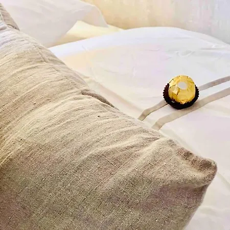 Appartement Centre , Magnifique , 5 Min Palais *
