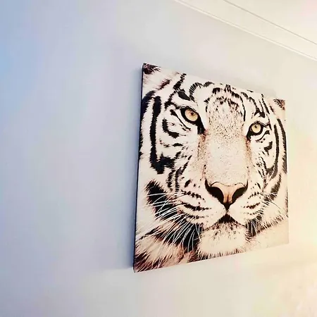 Appartement Centre , Magnifique , 5 Min Palais